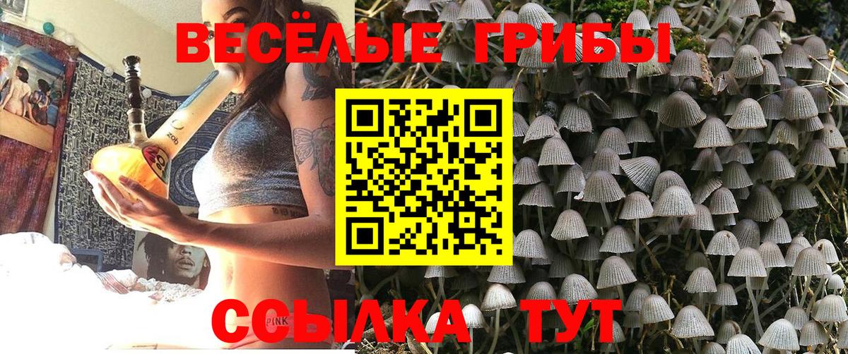 Псилоцибиновые грибы ЛСД Камышлов