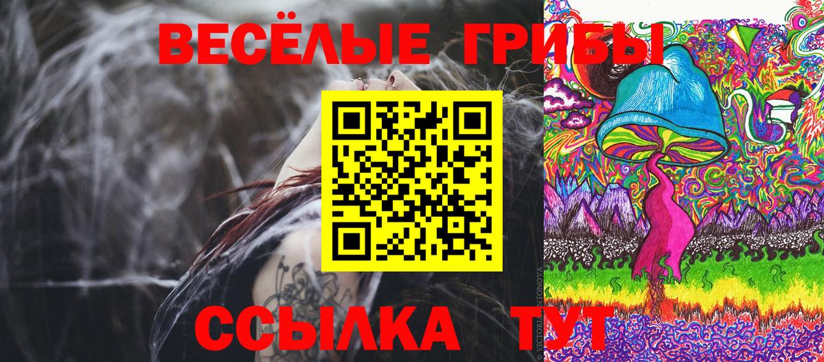 Псилоцибиновые грибы Psilocybe  Вход с VPN  Галлюциногенные грибы Psilocybe  Камышлов 